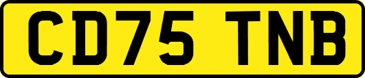 CD75TNB