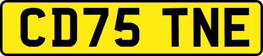 CD75TNE