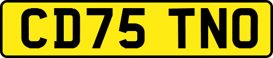 CD75TNO