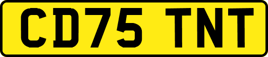 CD75TNT