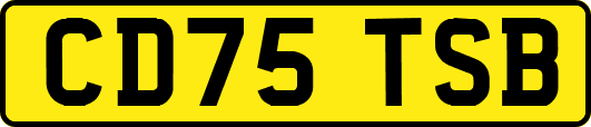 CD75TSB