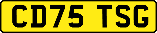CD75TSG
