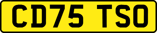 CD75TSO