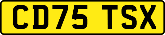 CD75TSX