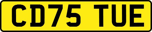 CD75TUE