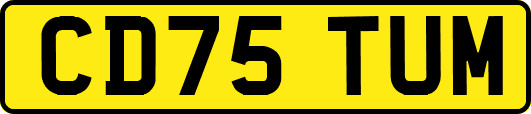 CD75TUM