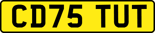 CD75TUT