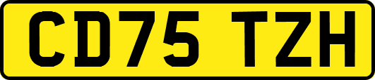 CD75TZH