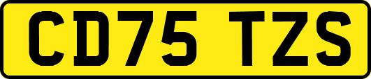 CD75TZS