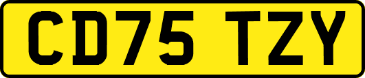 CD75TZY