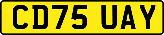 CD75UAY