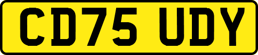 CD75UDY