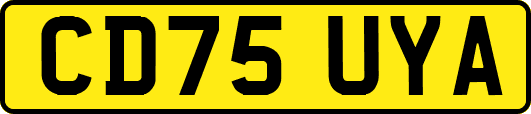 CD75UYA
