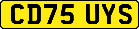 CD75UYS