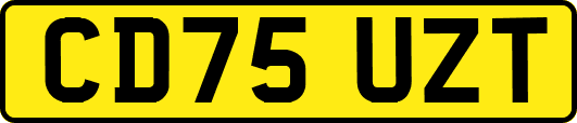 CD75UZT