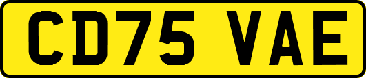 CD75VAE