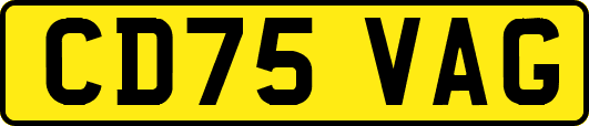 CD75VAG