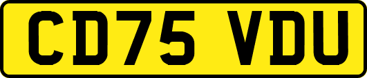 CD75VDU