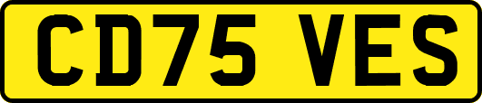 CD75VES