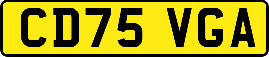 CD75VGA