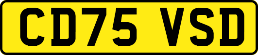 CD75VSD
