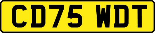 CD75WDT