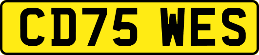 CD75WES