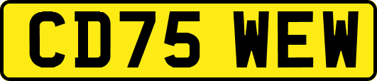 CD75WEW