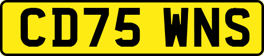 CD75WNS