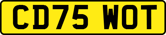 CD75WOT