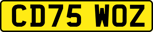 CD75WOZ