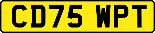 CD75WPT