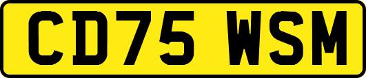 CD75WSM