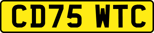 CD75WTC
