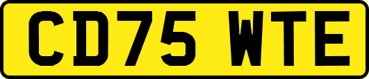 CD75WTE