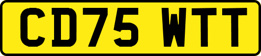 CD75WTT