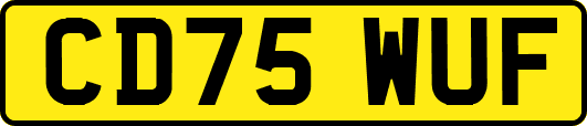 CD75WUF