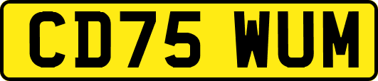 CD75WUM