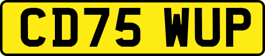 CD75WUP