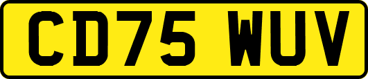 CD75WUV