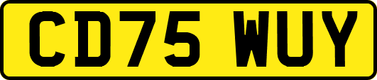 CD75WUY