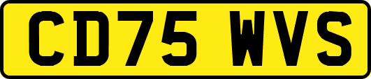 CD75WVS