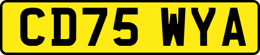 CD75WYA
