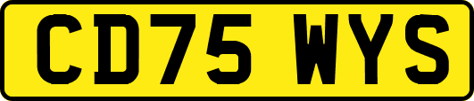 CD75WYS