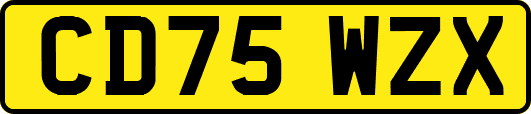 CD75WZX