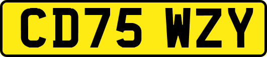CD75WZY