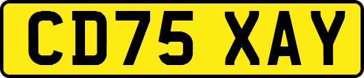 CD75XAY