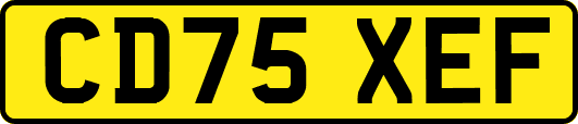 CD75XEF
