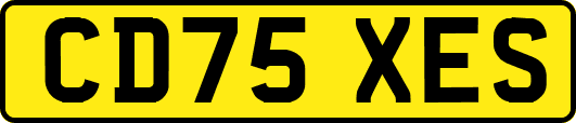 CD75XES