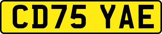CD75YAE